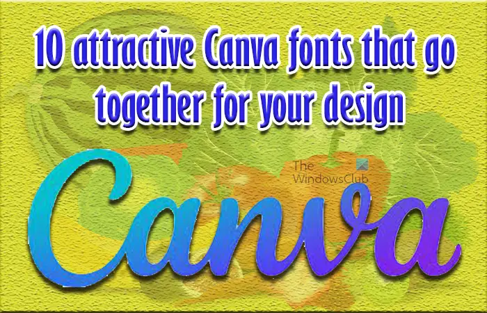 10 attractive Canva fonts that go together for your design