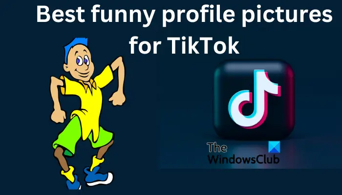 Good funny Profile Pictures for TikTok
