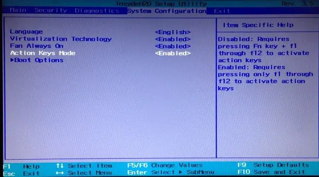 Change What the Fn Keys Do using BIOS