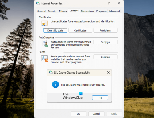How to clear SSL state in browser on Windows 11?