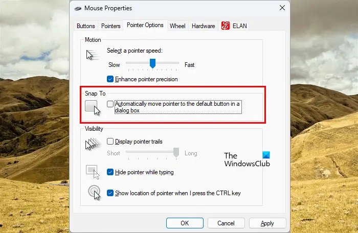 Disable automatically move mouse pointer option