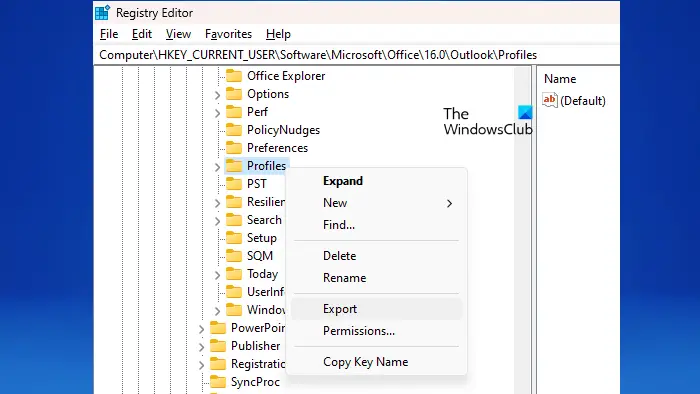 Export Outlook Profiles Registry Key