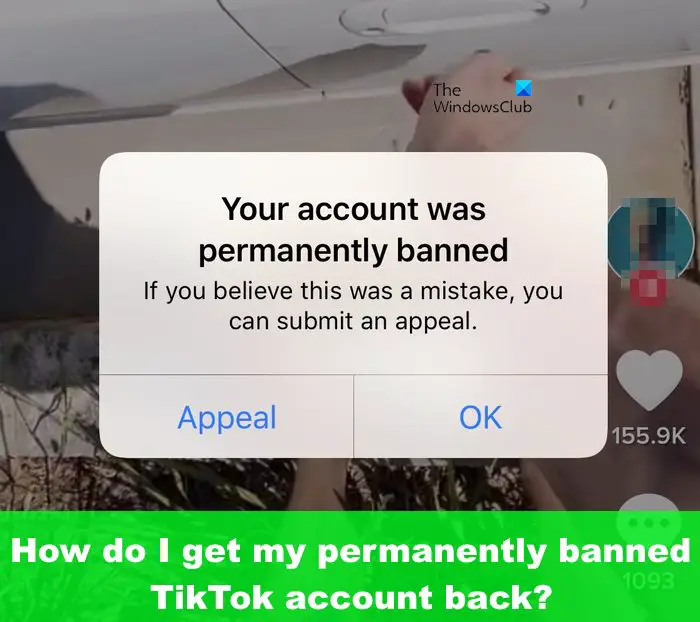 How do I get my permanently banned TikTok account back?