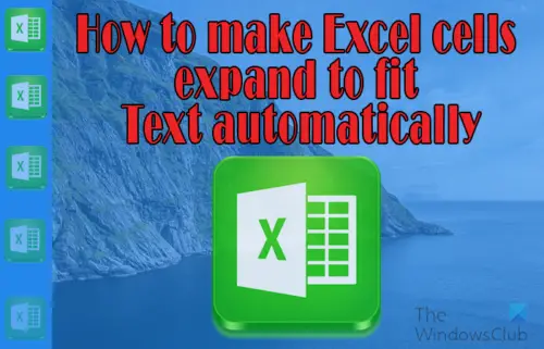 How to make excel cells expand to fit text automatically
