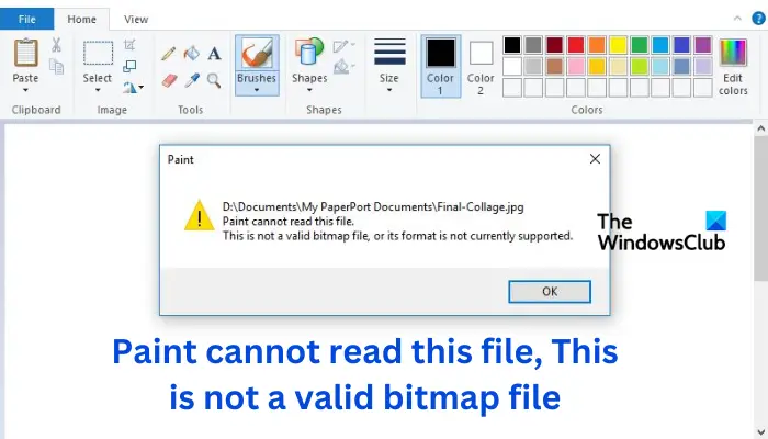 Paint cannot read this file, This is not a valid bitmap file