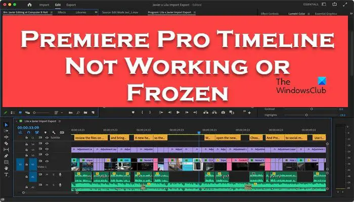Premiere Pro Timeline Not Working or Frozen