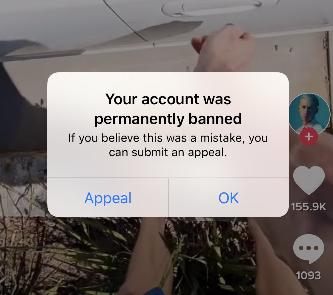 TikTok account banned