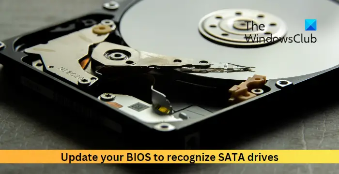 Update your BIOS to recognize SATA drives