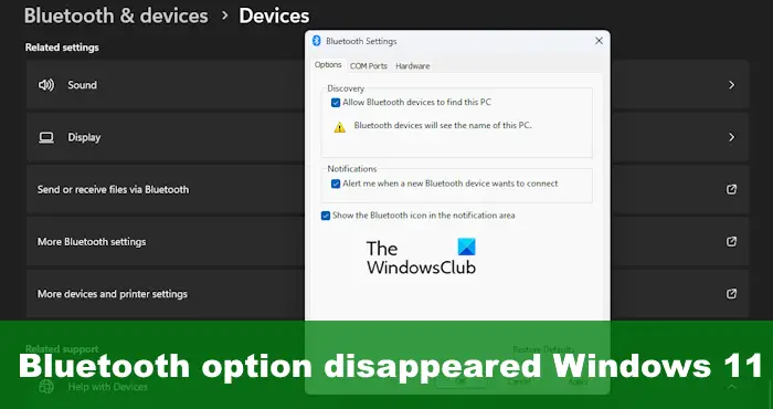 Bluetooth option disappeared Windows 11