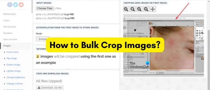 Bulk Crop Images