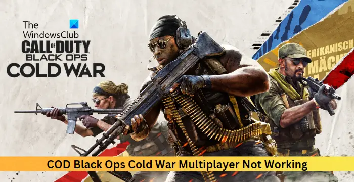 COD Black Ops Cold War Multiplayer Not Working
