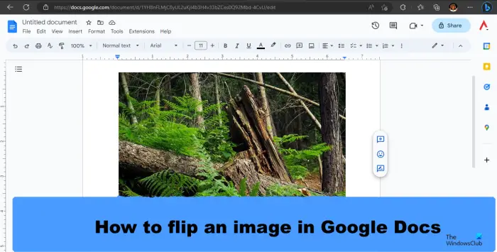 How to flip an image in Google Docs