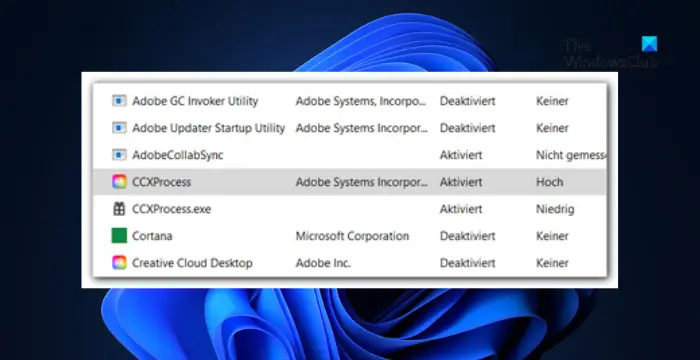 What is CCXProcess on startup