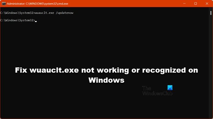 Fix wuauclt.exe not working or recognized on Windows