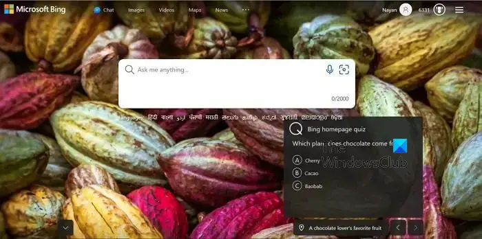 Bing Homepage Quiz