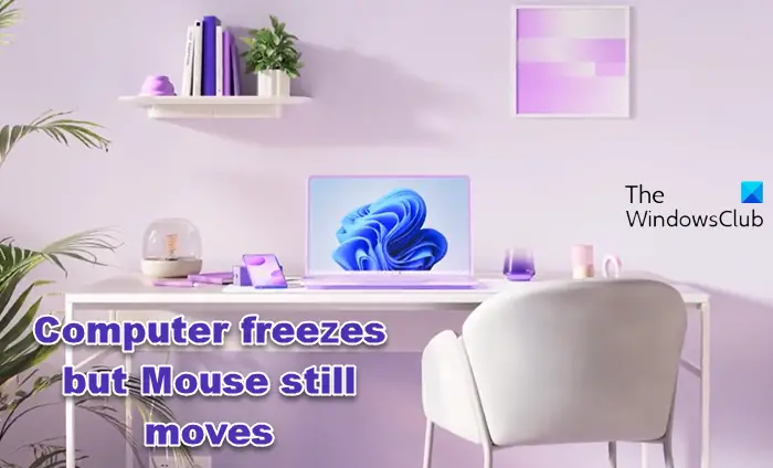 کامپیوتر یخ می زند اما ماوس همچنان حرکت می کند