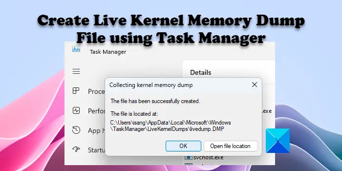 Create Live Kernel Memory Dump File using Task Manager
