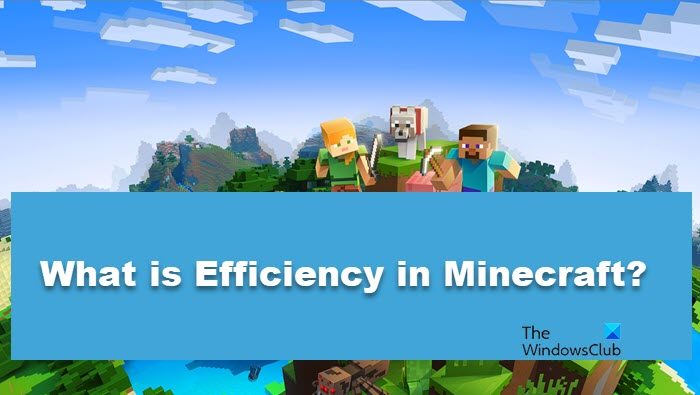 What is Efficiency in Minecraft