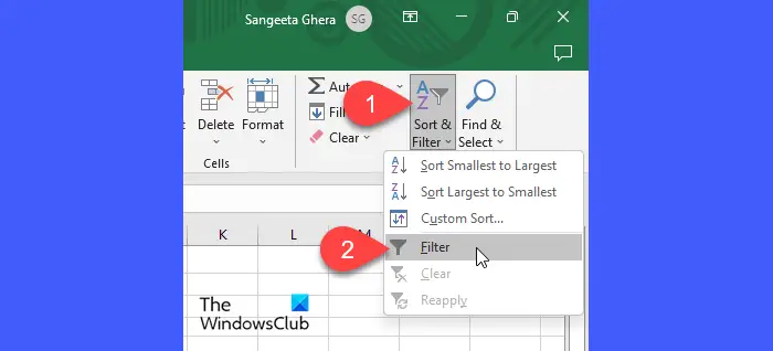 Filter option in Excel