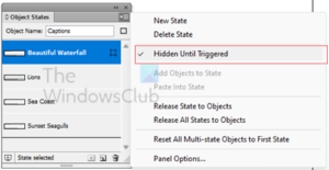How to create Interactive Video Slides in InDesign