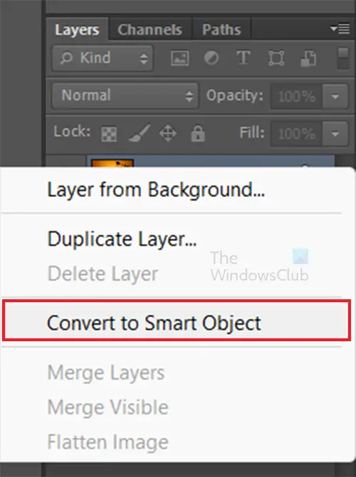 How to use the Shadows Highlights effect in Photoshop - Smart object 1