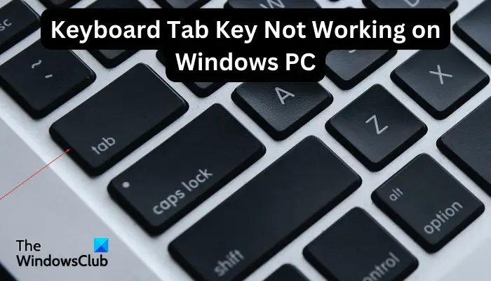 Keyboard Tab Key Not Working on Windows PC