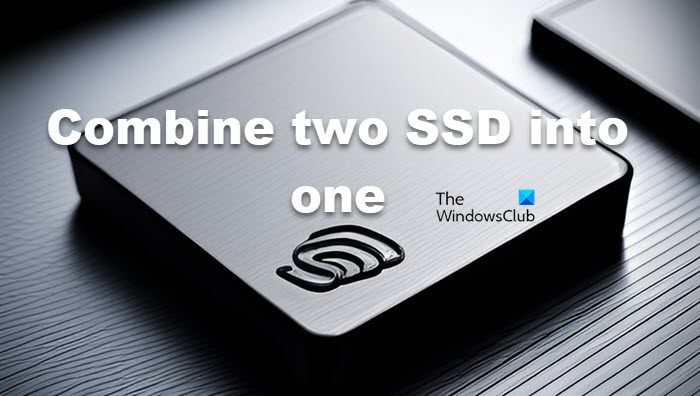 combine two SSD drives as one