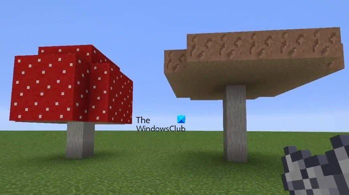 grow Mushrooms in Minecraft