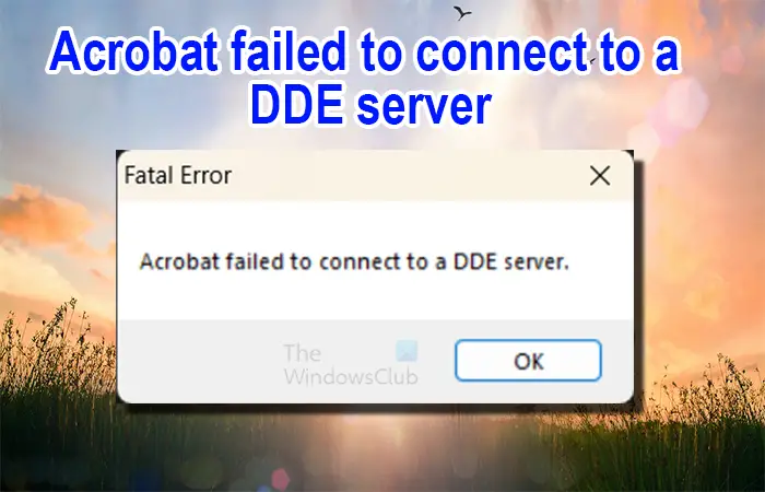 Acrobat failed to connect to a DDE server