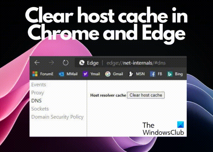 How to Clear Host Cache in Edge browser