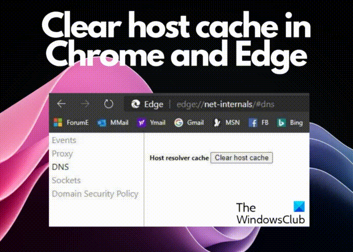 Clear host cache in Chrome and Edge