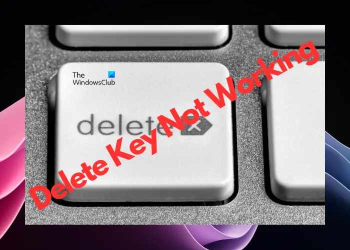 Delete key not working in Windows 11/10