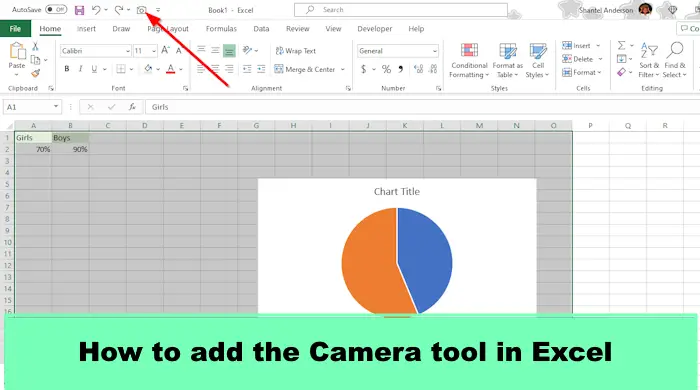 How to add the Camera tool in Excel