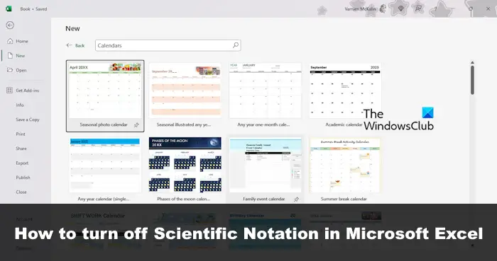 How to remove Scientific Notation in Excel