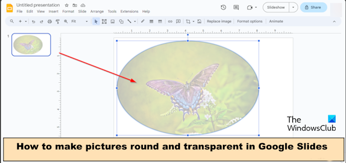 How to make Image Round and Transparent in Google Slides