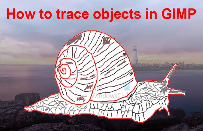How to trace objects in GIMP