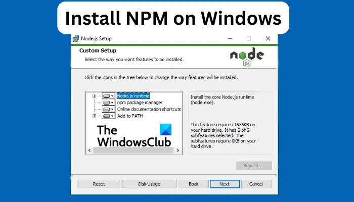 Install NPM on Windows