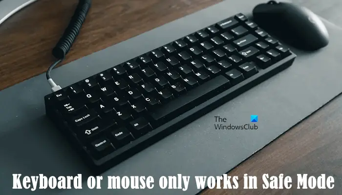 Keyboard mouse works in Safe Mode