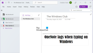 OneNote lags when typing on Windows 11/10