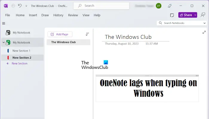 OneNote lags when typing on Windows 11/10