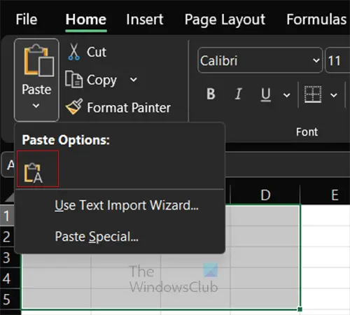 Paster in Excel 1