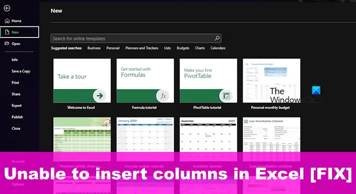 Unable to insert columns in Excel [FIX]