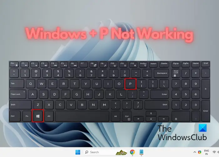 Windows + P not working in Windows 11/10 [Fix]