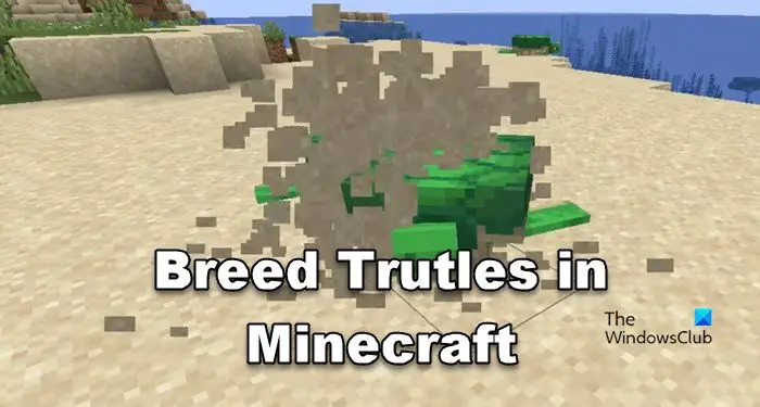 breed Turtles in Minecraft