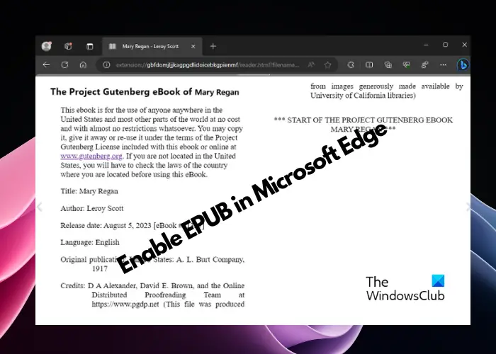 enable EPUB in Microsoft Edge