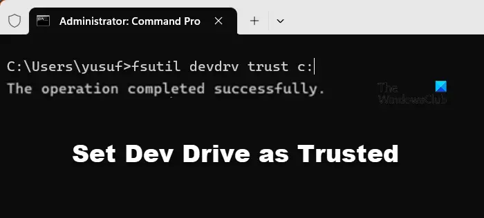 set Dev Drive as Trusted or Untrusted