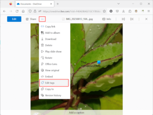 How to add Tags to Images in OneDrive