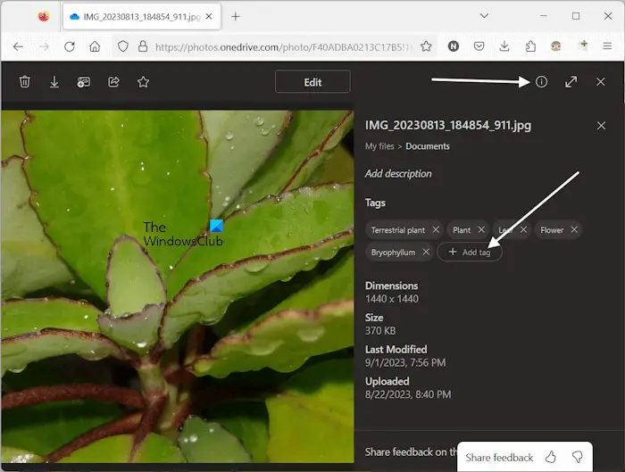 Add tags to photos OneDrive online