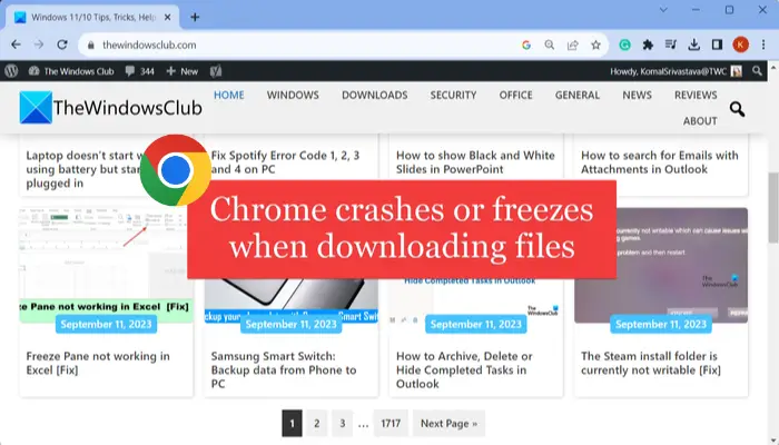 Chrome crashes or freezes when downloading a file
