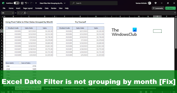 Excel Date Filter is not grouping by month [Fix]